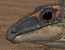 BabySteg