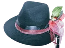 TheFancyFedora