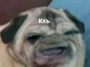 Khe