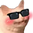 _catcool