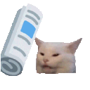 bonkcat