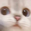 kpa_nanastare