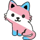 trans_kitty