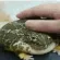 FrogPat