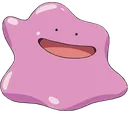 DittoHi