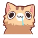 neko_derp