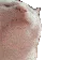 catJam