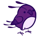 birbdance