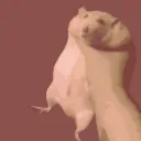 Gerbil_Reeee