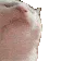 catjammin catjammin