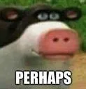 perhaps