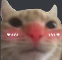 emoji_217 emoji_217