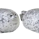 pocky_d_seal_VROOMVROOM