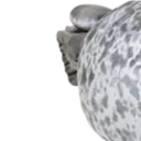 pocky_d_chonk1