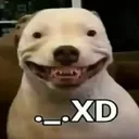 XD XD