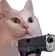 _catgun2