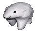 _memebear1
