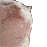 catgroove