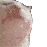 catjam