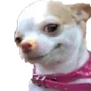 puboylekufure