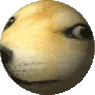 DogeSphere
