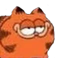 garfieldbruh