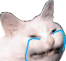 RWCatCry Discord emoji