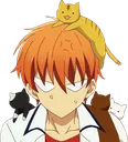 kyocats Discord Emoji