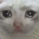 sadcathours