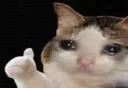 catThumbs
