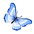 38a15faad24e426aa697b2ab83b36142