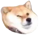 fatdogo