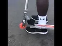 scooterankle
