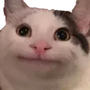 Bruh