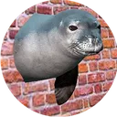 Seal