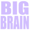 bigbrain