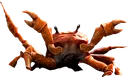 dancingcrab Discord Emoji