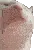 c_catdance