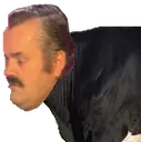 :risivache: risivache
