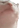 catJAM