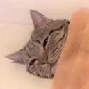 Fatigue