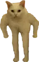 standing_cate Discord Emoji