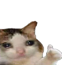 sadcatok Discord emoji