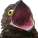 aaaa