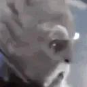 PT_KiAdiWhat