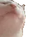 catbop