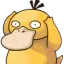 duck_confused