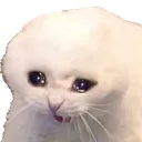 weepingcat