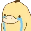 duck_cry