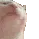 catJam